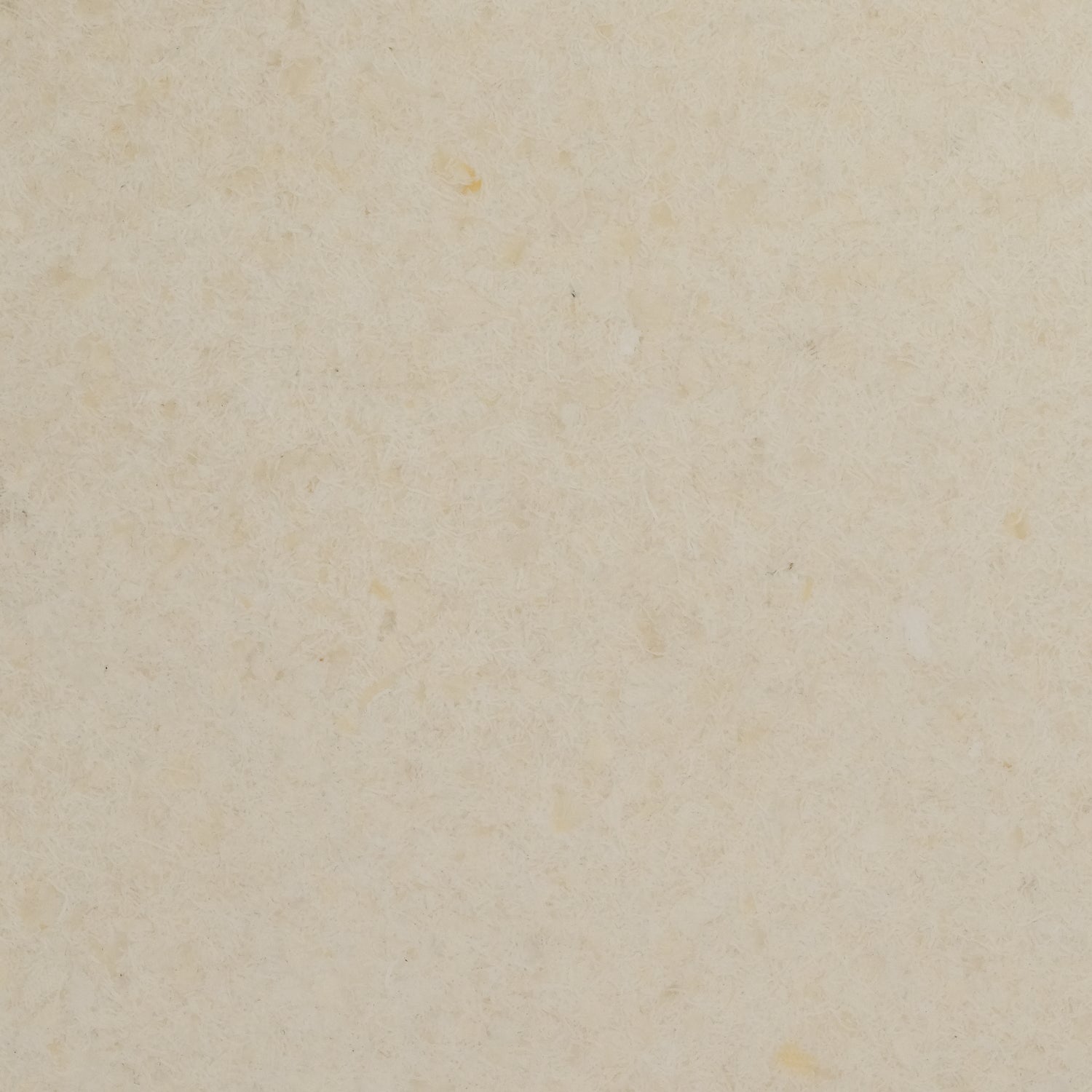 Sample - Chambray